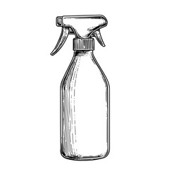 Engraved illustration of a vintage spray bottle showcases intricate hand-drawn design perfect for tattoo enthusiasts and art lovers