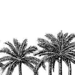 Intricate palm tree design with vintage engraving style for artistic tattoo enthusiasts