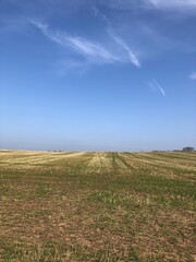Field with Cereal stubble in March,  North Yorkshire, England, United Kingdom