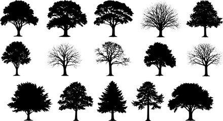 various deciduous trees silhouettes on the white background. vector set. PNG white background
