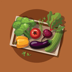 Fresh Organic Vegetables in a Box. Zucchini, broccoli, eggplant, tomato, paprika. Healthy eating and nutrition.