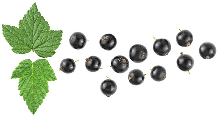 Berries of black currant with green leaves isolated on a white background, view from above.