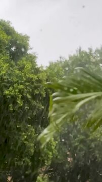 Chuva Tropical no Brasil