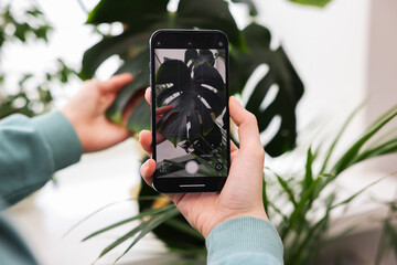 Woman using houseplant recognition application on smartphone indoors, closeup