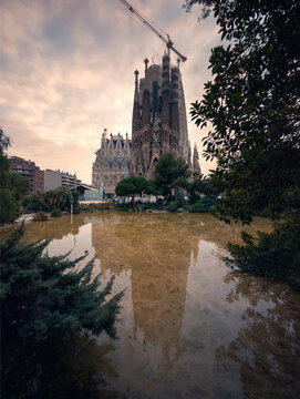 Serene view of Sagrada Familia with reflection in Barcelona
