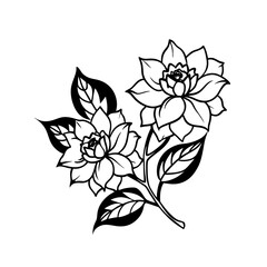 black and white rose