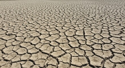 Cracked Dry Earth Landscape Showing Arid Climate and Drought Conditions