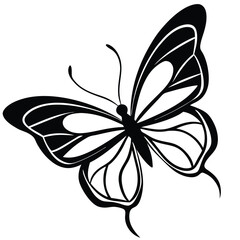 butterfly vector on white background