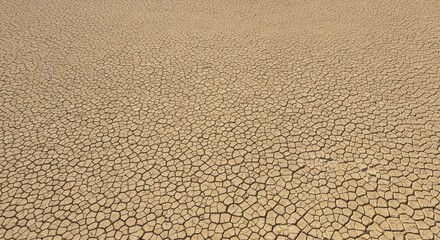 Cracked Earth Surface Shows Arid Land Landscape Dryness Background