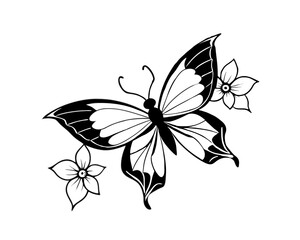 black and white butterfly