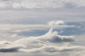 Dramatic sky. Clouds of different shapes 