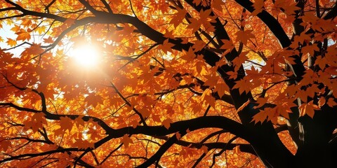 Golden sunlight filters through vibrant autumn leaves on gnarled oak branches, leaves, rustic