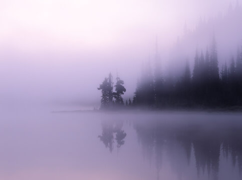 Misty morning at Reflection Lake, Mount Rainier National Park