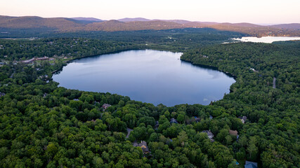lake and forest