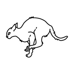 Cat jumping outline illustration. cat line illustration.