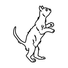 cat playing outline illustration. cat line illustration.
