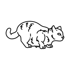 cat staring outline illustration. cat line illustration.