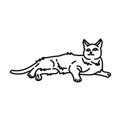 cat relaxing outline illustration. cat line illustration.
