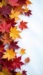 Fototapeta premium Dense foliage in autumn colors scattered on a snowy white background, autumn leaves, cold weather