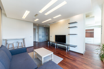 Modern Home Apartment Living Room with Cozy Decor and Natural Light From Large Windows. Interior
