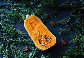 Autumn Still Life with Butternut Squash Star Anise and Fir Branches on Dark Background