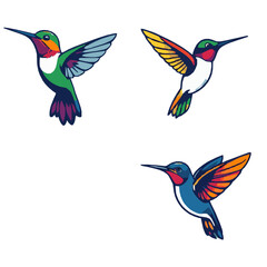 Obraz premium Beautiful Hummingbird Illustrations - Set 