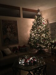 Christmas tree in living room