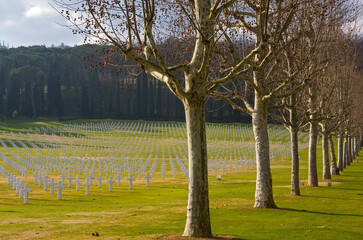 American military cemetery outside of Florence, Italy