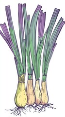 Delicate Illustration of Spring Onions