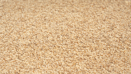 Milk thistle seeds powder, crushed silybum marianum grains pile, milled dry blessed milkthistle