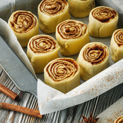 Homemade Cinnamon Rolls Sweet Fluffy Delight