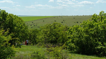 Grand landscape. Romania