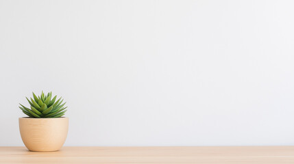 Fototapeta premium Minimalist Potted Plant on a Wooden Table with Soft Natural Light 