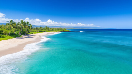 Obraz premium Tropical White Sand Beach with Turquoise Waters and Palm Trees 