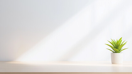 Minimalist interior with small potted plant on clean desk under soft natural light
