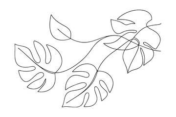 Elegant OneLine Drawing of Tropical Monstera Leaves and Vines