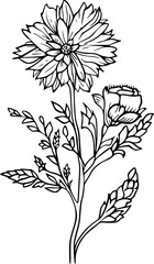 Hand-Drawn Flower Line Art, Black Outline, White Background, Flower Ornament
