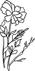 Black Floral Line Sketch, Simple, Clean Illustration, Simple Floral Line Art Ornament