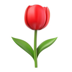 3D cartoon tulip icon, red color, green stem, white background