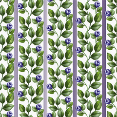 Seamless watercolor floral pattern. Green branches with leaves and small blue flowers. Vertical colored borders with stripes, white background.