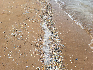 Seashells on the sand and sea waves rushing onto the sandy shore on a warm summer day