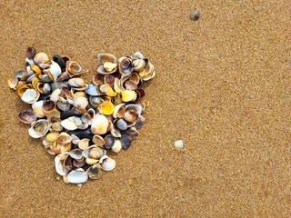 A shell heart is laid out on the sea sand on a clear sunny day.