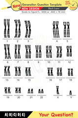 2026, Physics, Physical concepts, High school, middle school, exam question template, numerical lessons, verbal lessons, Next generation problems, for teachers, editable, black layer, eps
