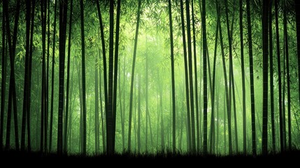 Dense green bamboo forest with soft light filtering through the trees