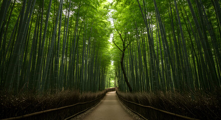 A dense bamboo forest sways rhythmically with the whispering wind, emerald-green stalks stretching toward the heavens in timeless serenity.