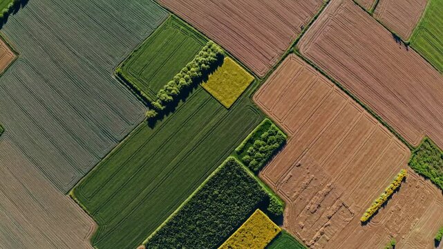 Agricultural landscape revealing vibrant geometric patterns of cultivated farmland from high-altitude perspective, showcasing colorful crop fields forming intricate patchwork design