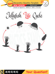 2026, Physics, Physical concepts, High school, middle school, exam question template, numerical lessons, verbal lessons, Next generation problems, for teachers, editable, black layer, eps