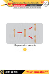 2026, Physics, Physical concepts, High school, middle school, exam question template, numerical lessons, verbal lessons, Next generation problems, for teachers, editable, black layer, eps