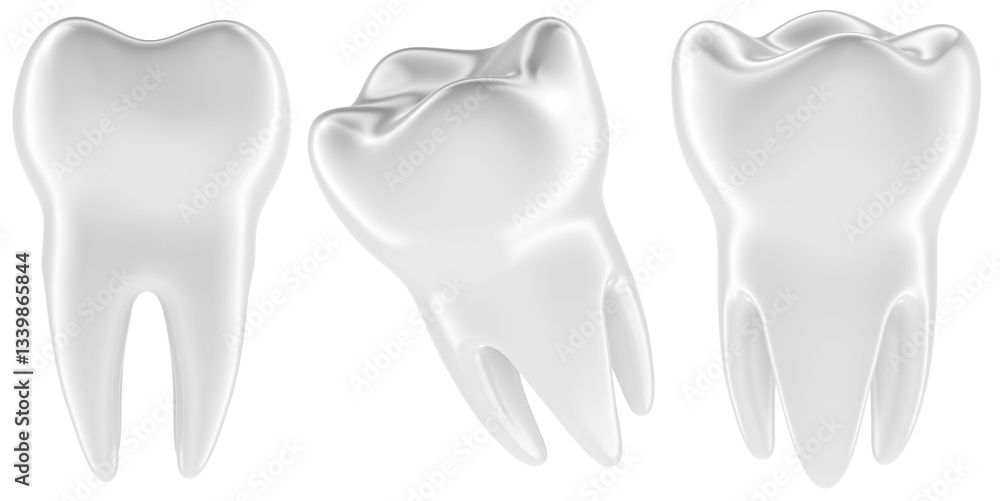 Poster human tooth, molar tooth. different views and angles. 3d rendering isolated on transparent backgroun