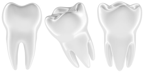Human Tooth, molar tooth. Different views and angles. 3D rendering isolated on transparent background